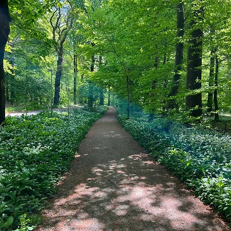 酒店 胡塞特米泽尔法特酒店 3*