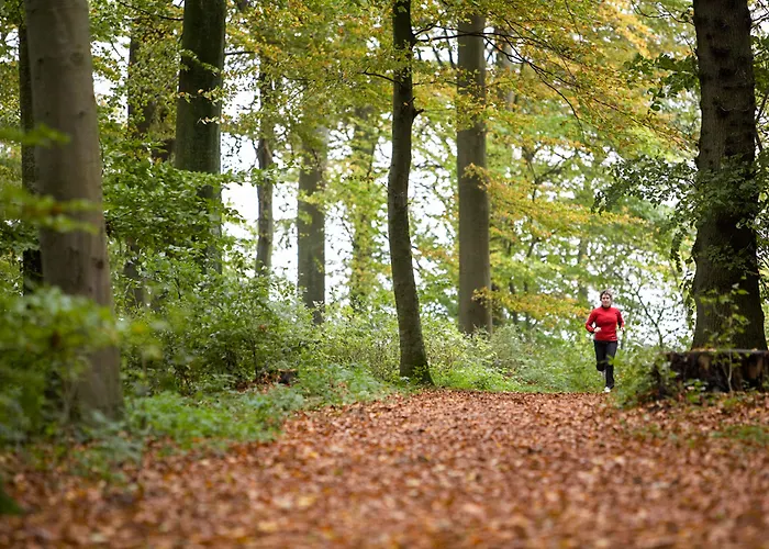 Hotel Huset Middelfart